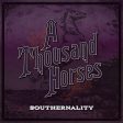 A THOUSAND HORSES - SOUTHERNALITY Supply