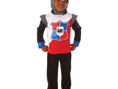 Child Knight of the Realm Halloween Costume For Discount