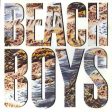 BEACH BOYS  - BEACH BOYS Online Sale